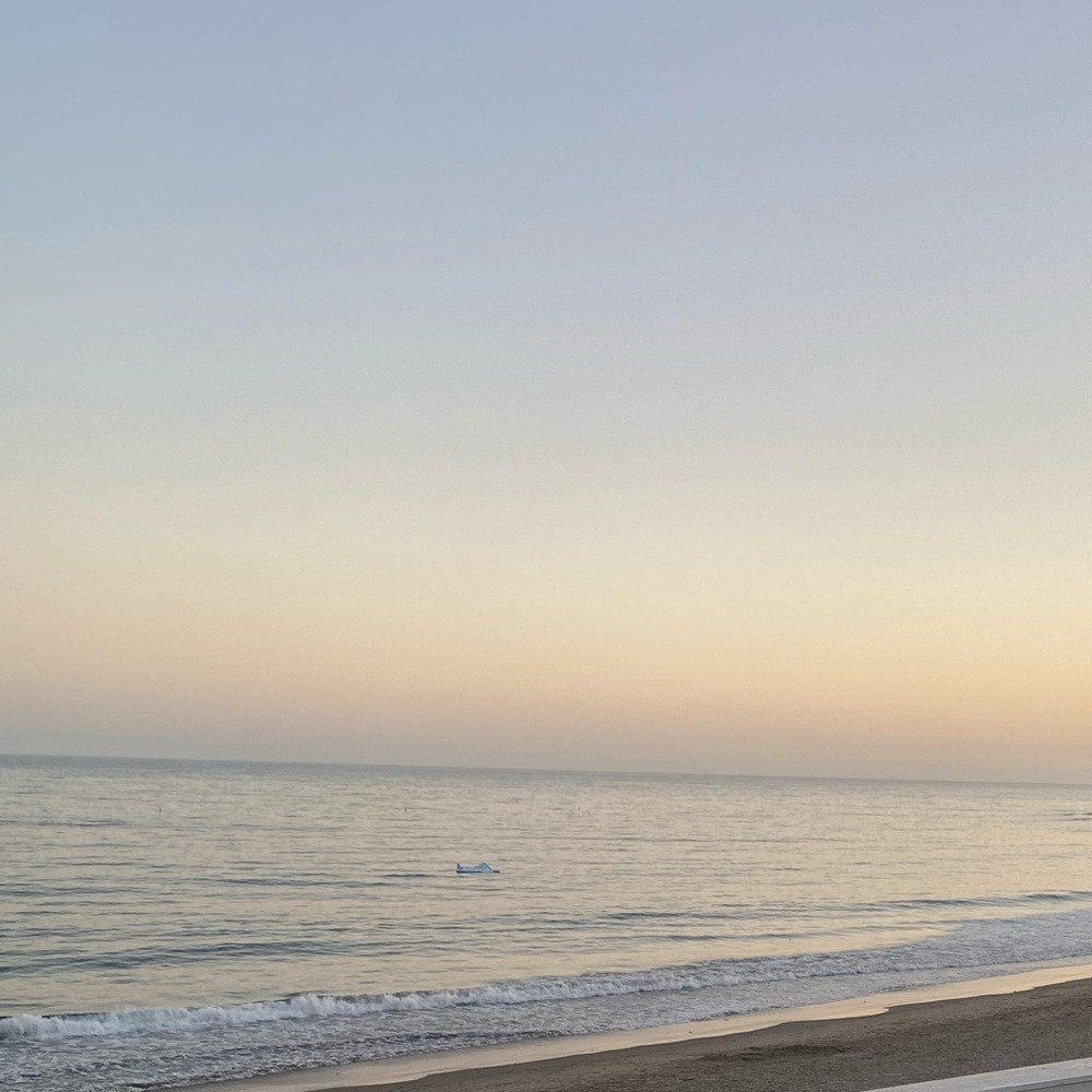 Meet your Posher, Lily